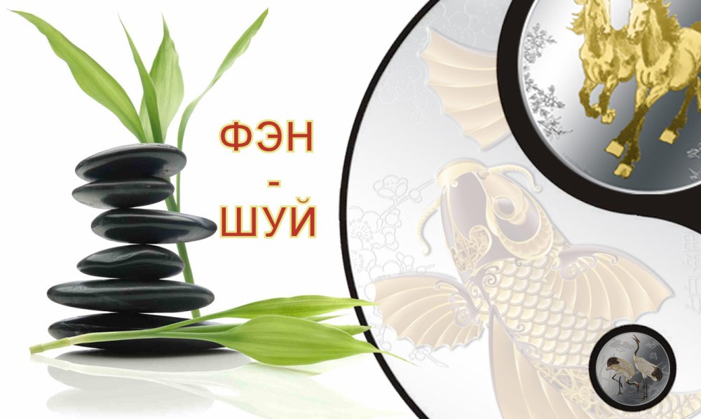 Заставка апельсины