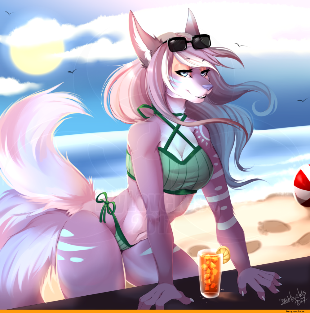 Falvie Art Лис