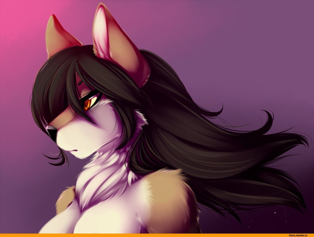 Фурри Feline