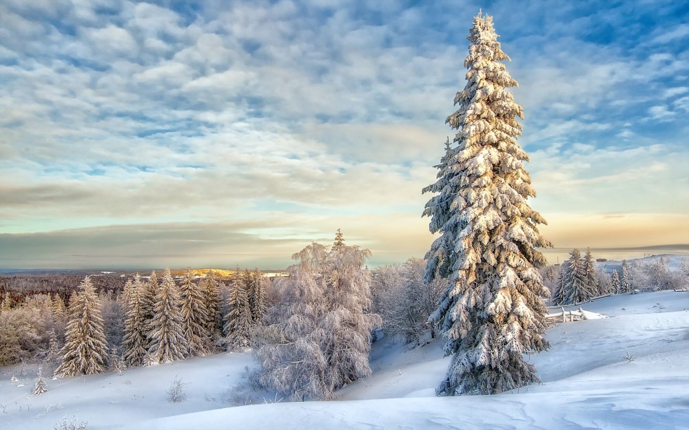 Зимняя природа