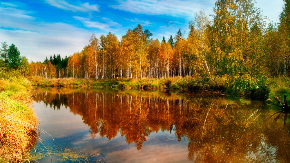Красота русской природы