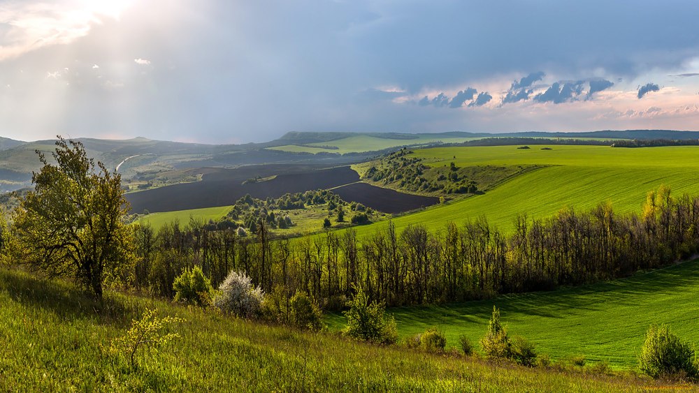 Удмуртия Холмистая равнина
