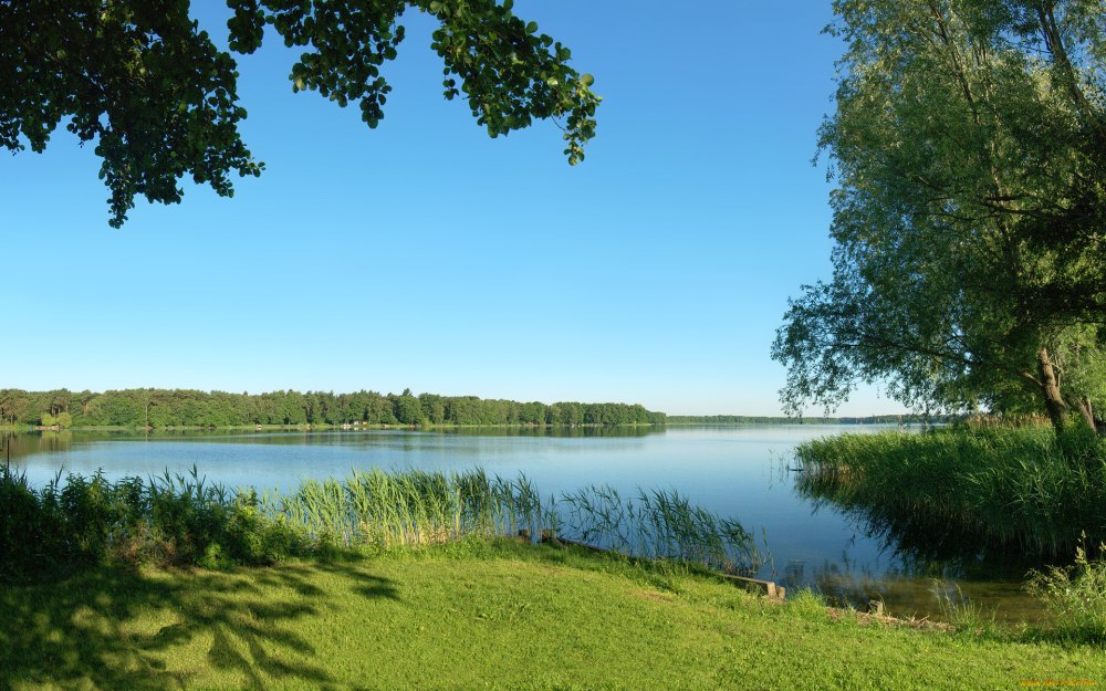Село Надеждино Омск