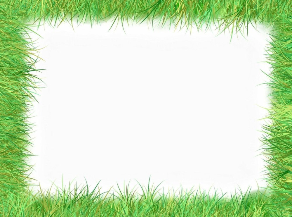 Рамка зеленая