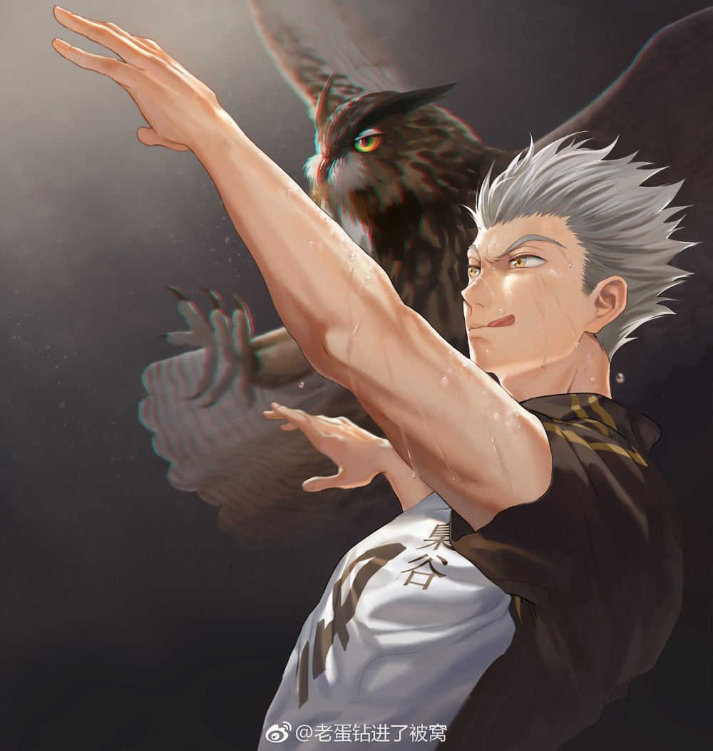 Bokuto Koutarou Owl