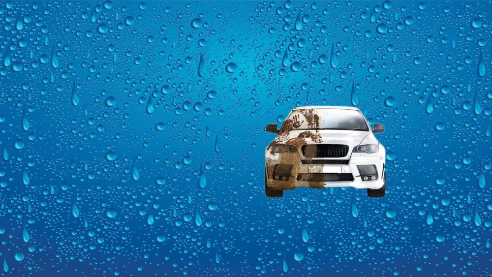 Авто брызги