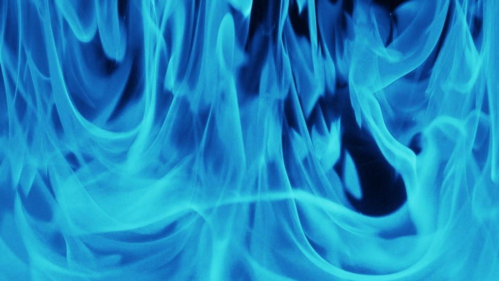 Scorpion Blue Fire