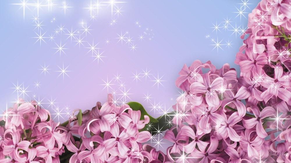 Фон для поздравления