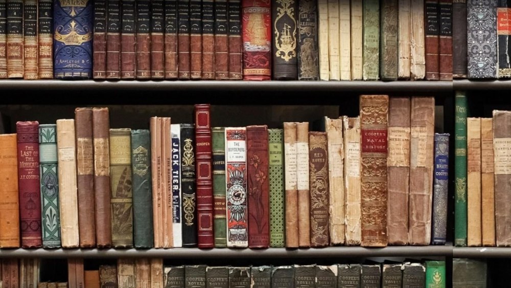 Задний фон книжный шкаф