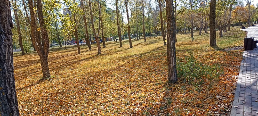 Рабочий стол библиотекаря