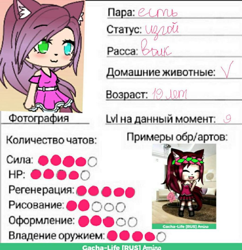 Паспорт моей ОС