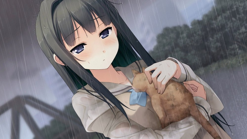 Ayase Sayuki, Kantoku аниме