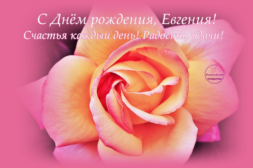 Евгения. Сднём рождения