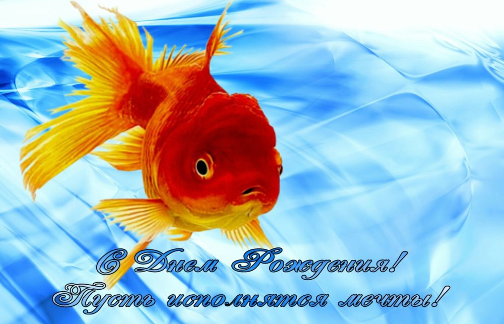С днем рождения