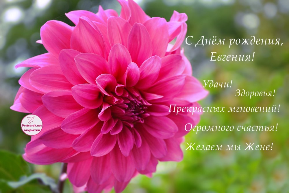 С днём рождения Евгения