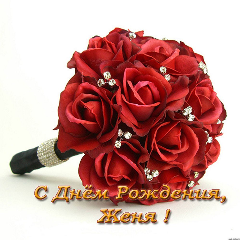 Поздравления с днём рождения