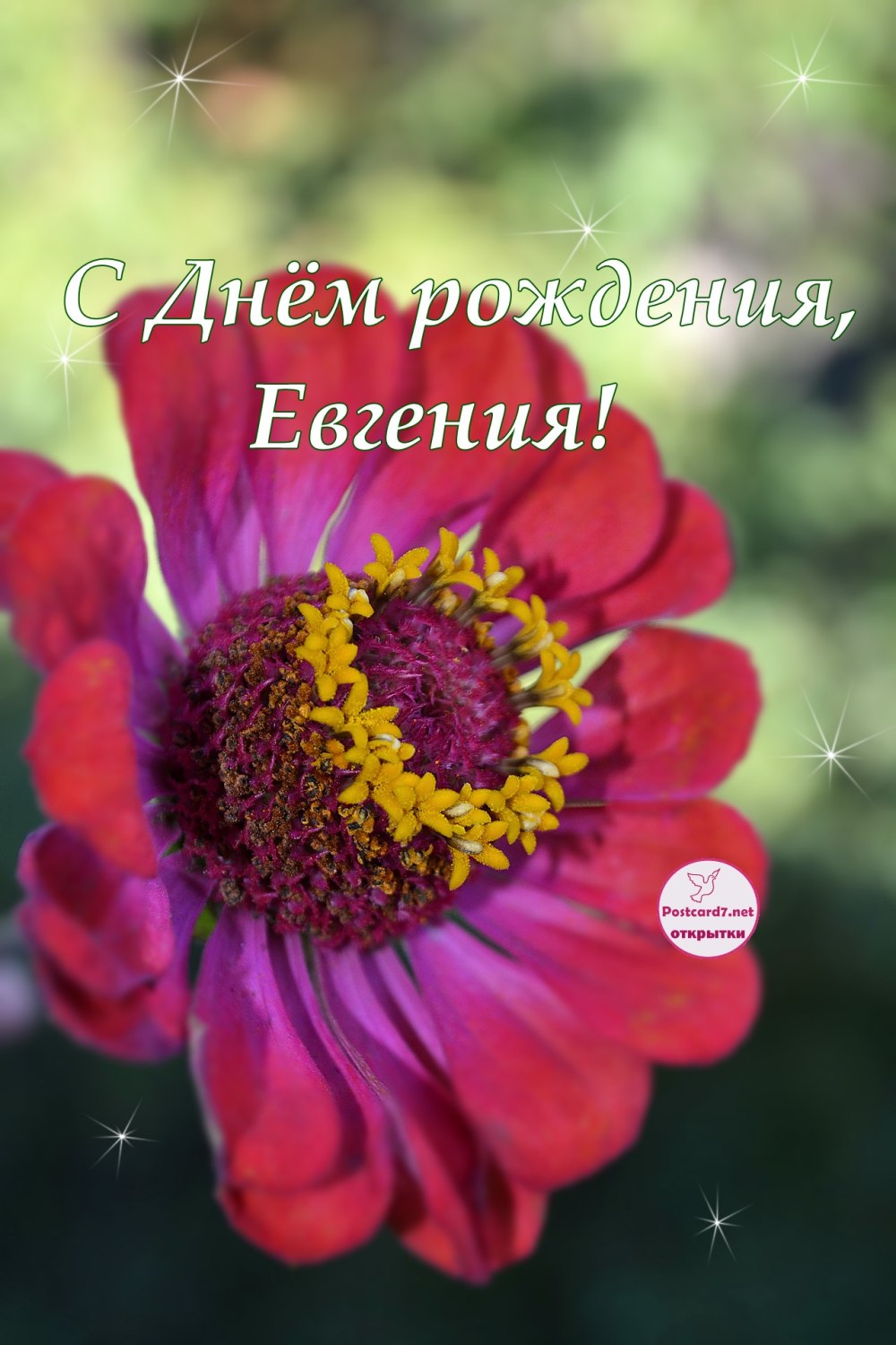 Поздравления с днём рождения Азиза