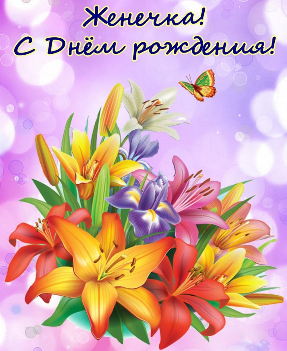 С днём рождения Евгения
