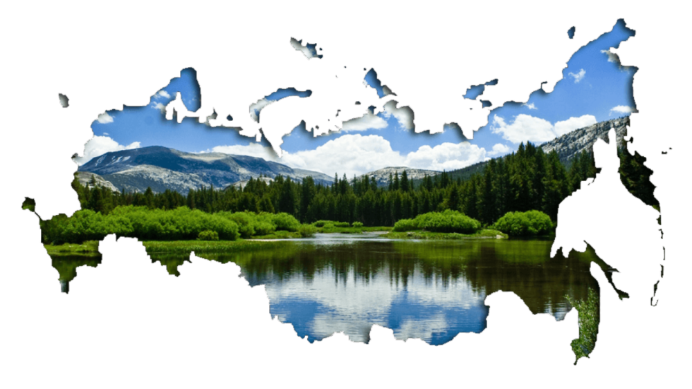 Фон для презентации лес