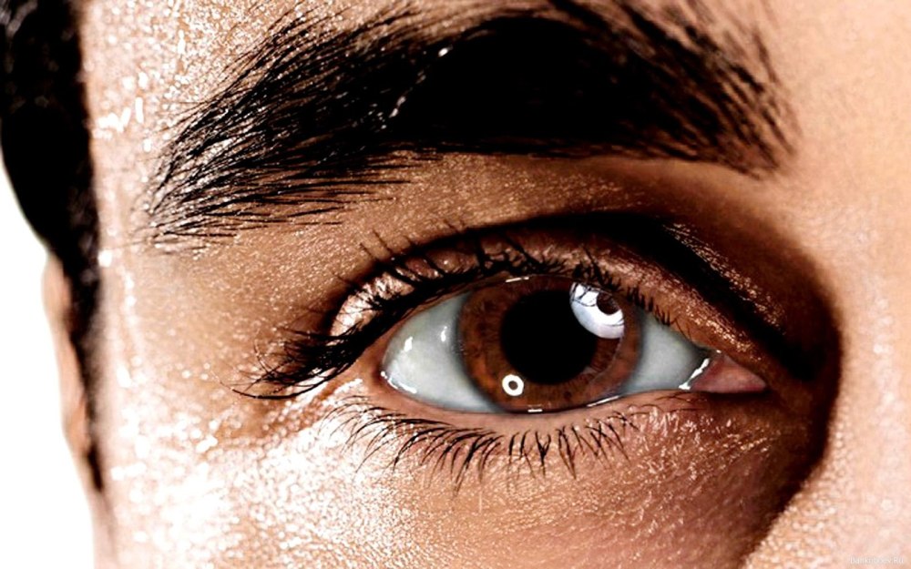 Black sclera Lens