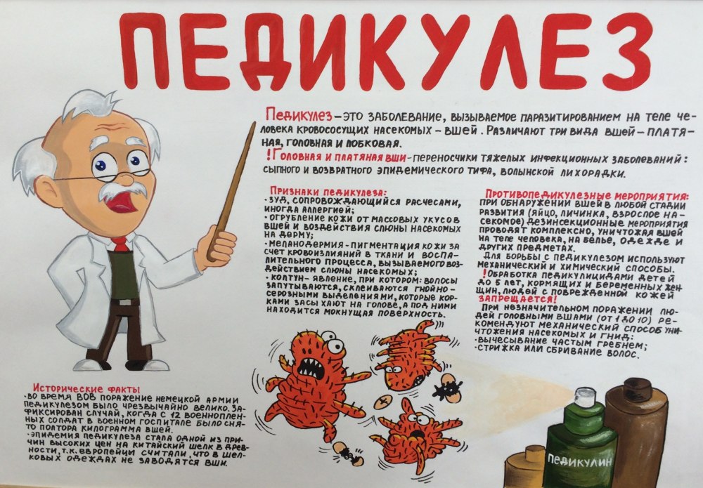 Санбюллетень педикулез
