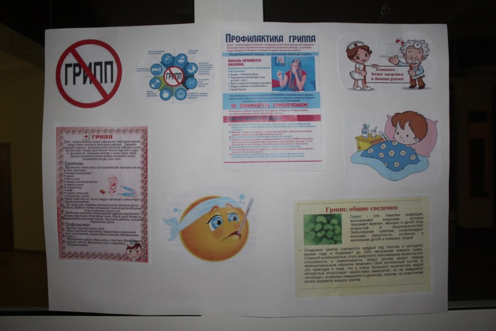 Плакат здоровое Питини
