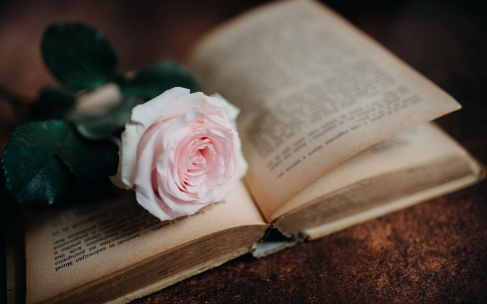 Книги на полке