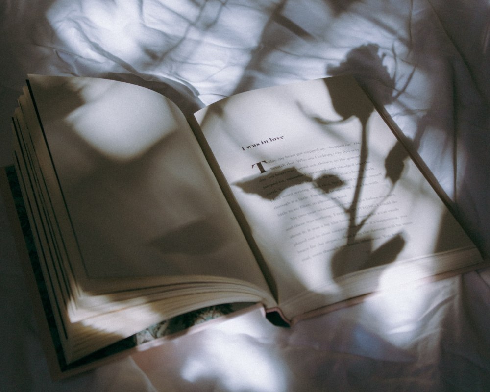 Эстетичный фон книги