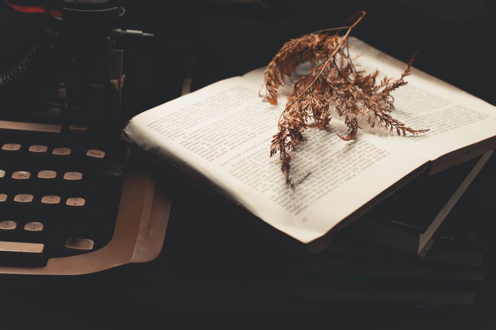 Книжная Эстетика