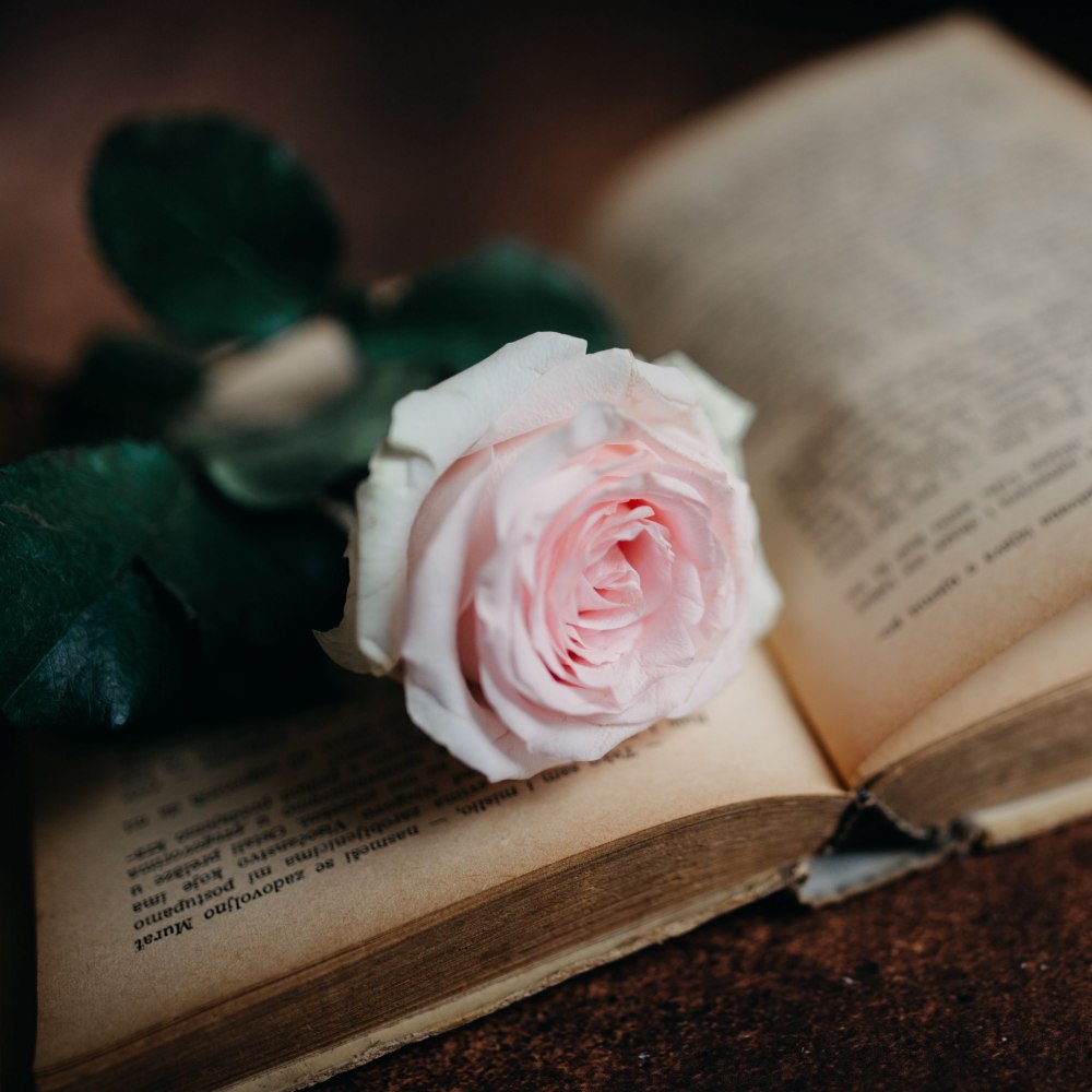Стильный фон с книгами