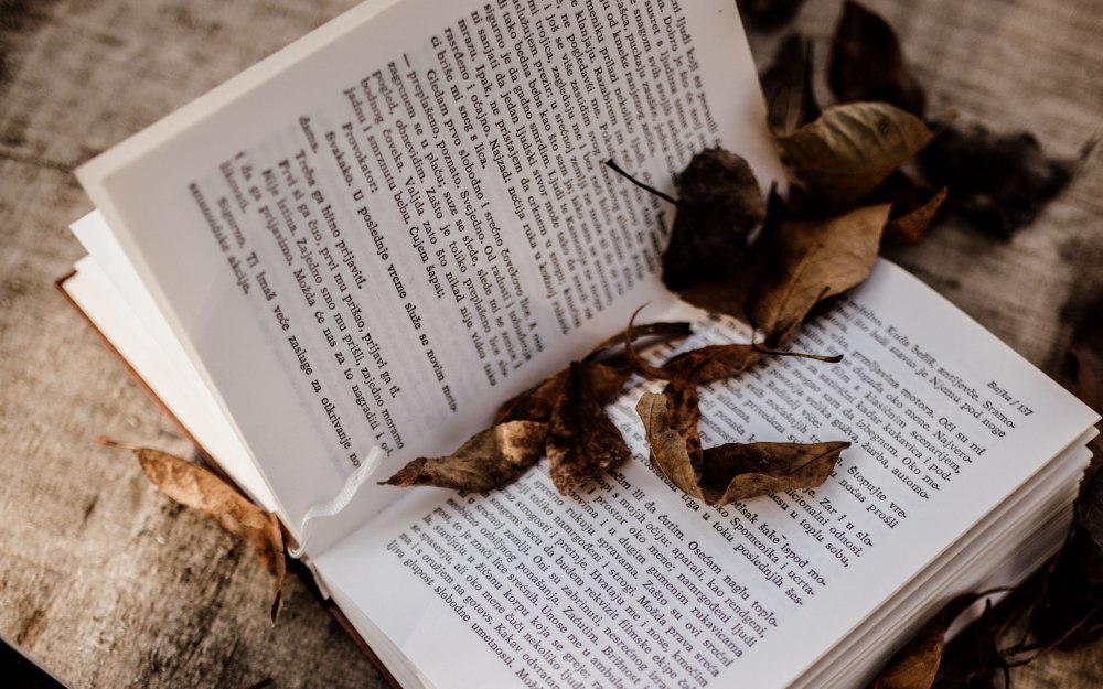 Букет цветов и книга