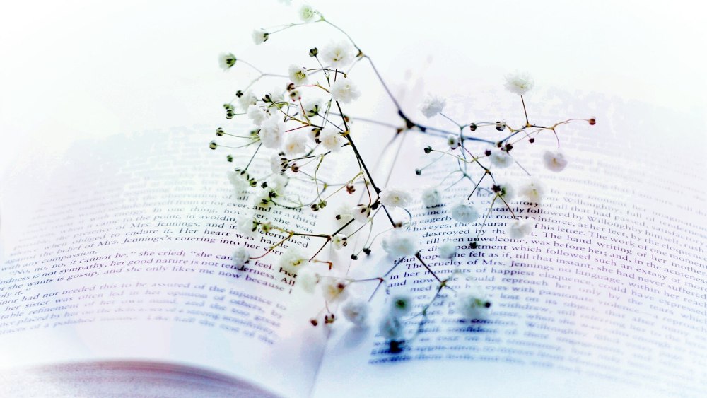 Книги Эстетика