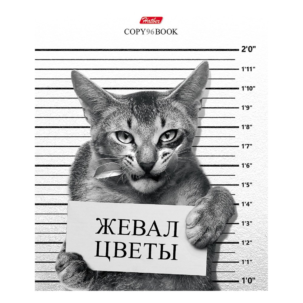 Тетрадь необычные обложки