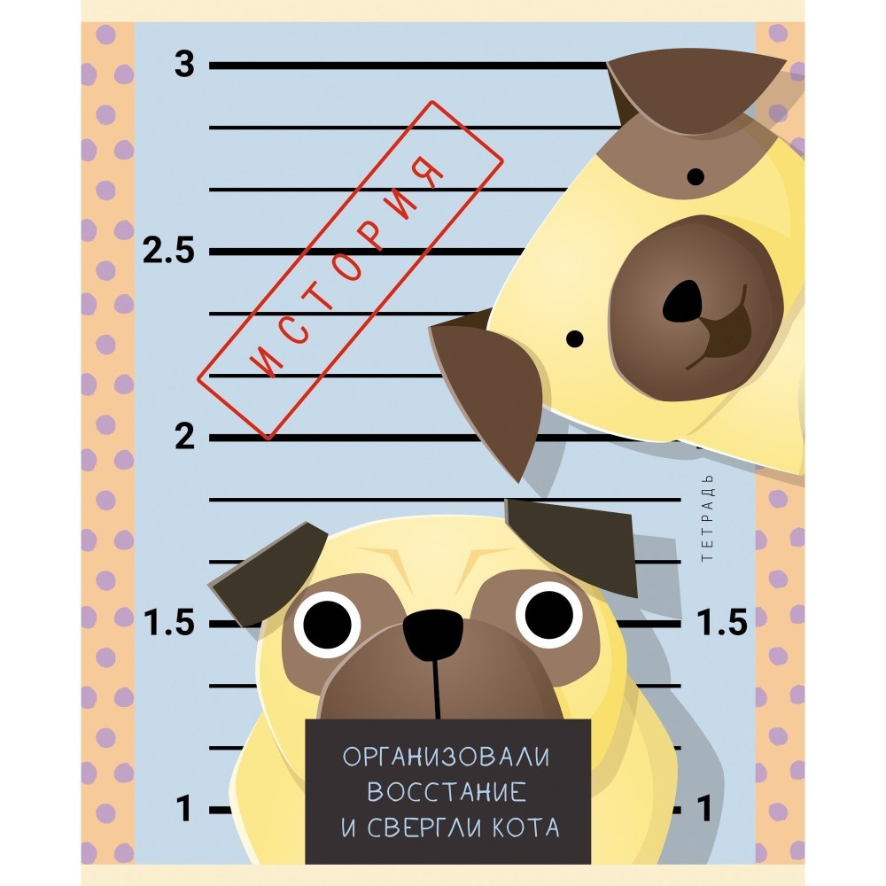 We bare Bears тетрадь