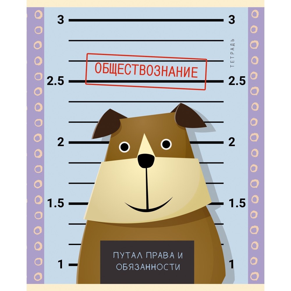 Прикольные тетради