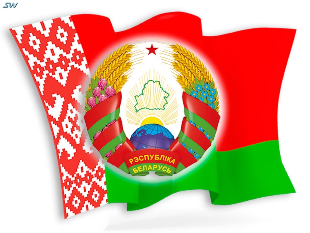 Фон для презентации птицы