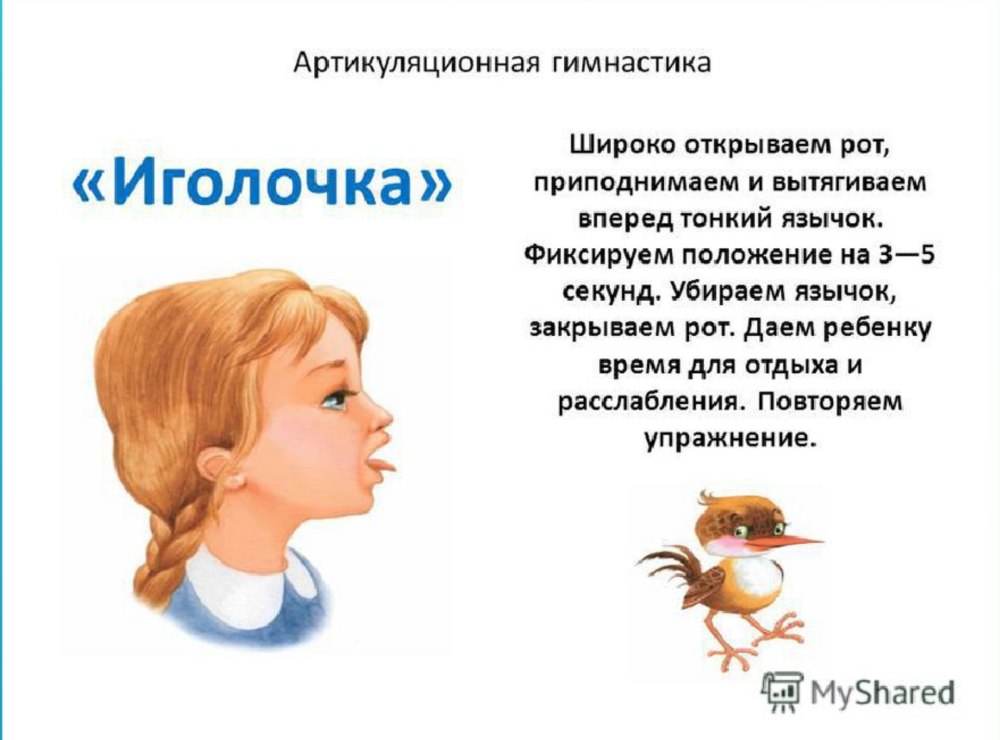 Артикуляционная Гимка