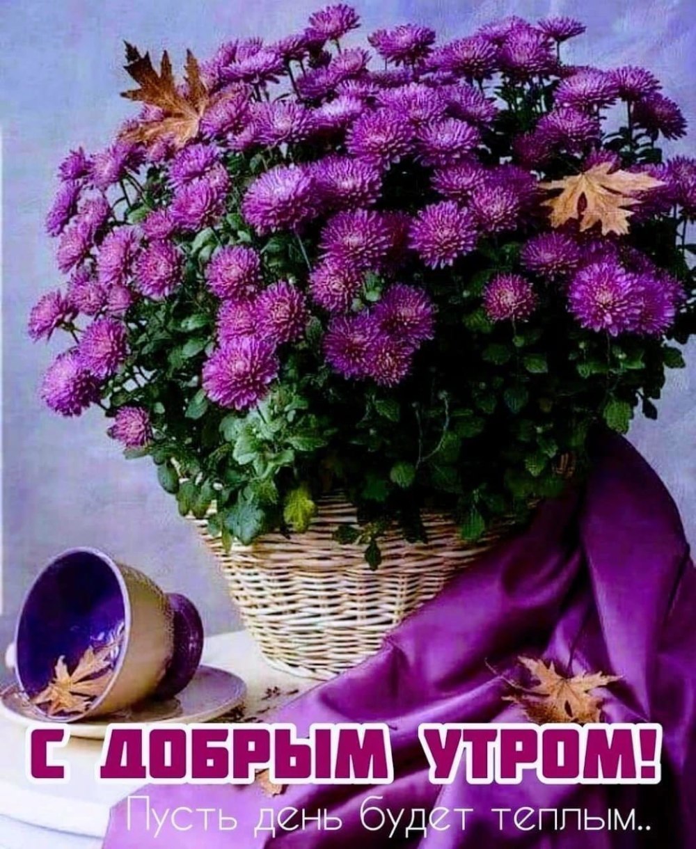Осенний букет астры