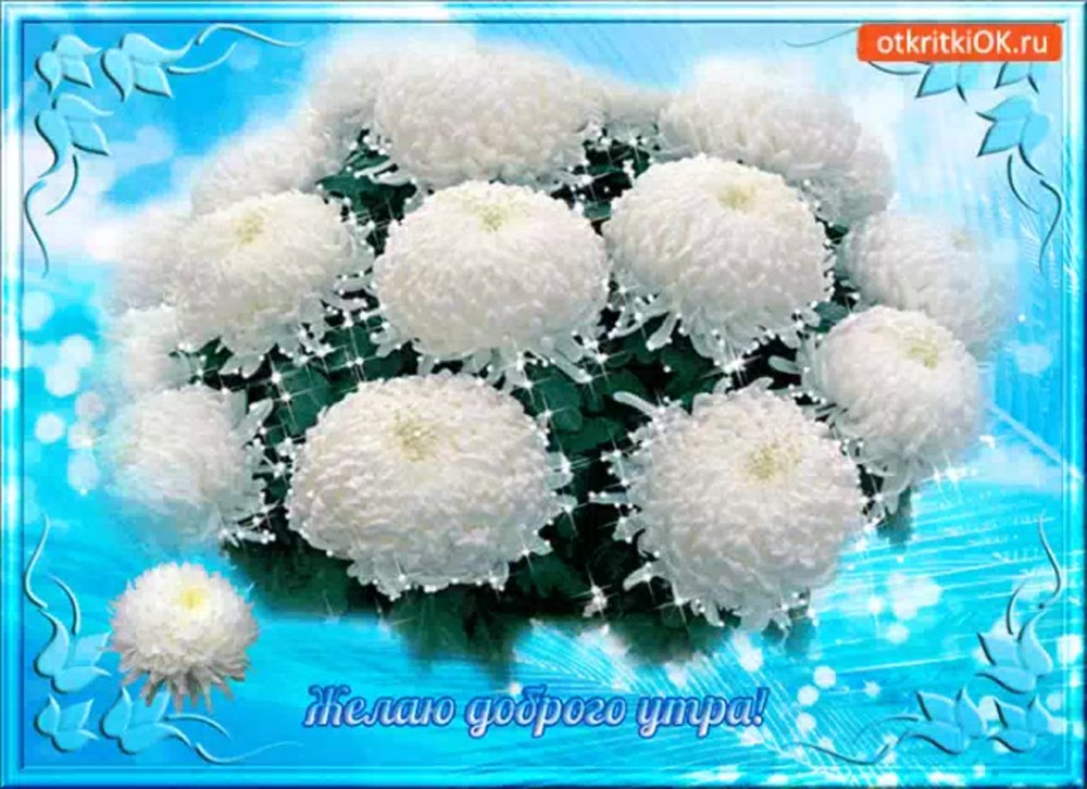 Натюрморт с астрами