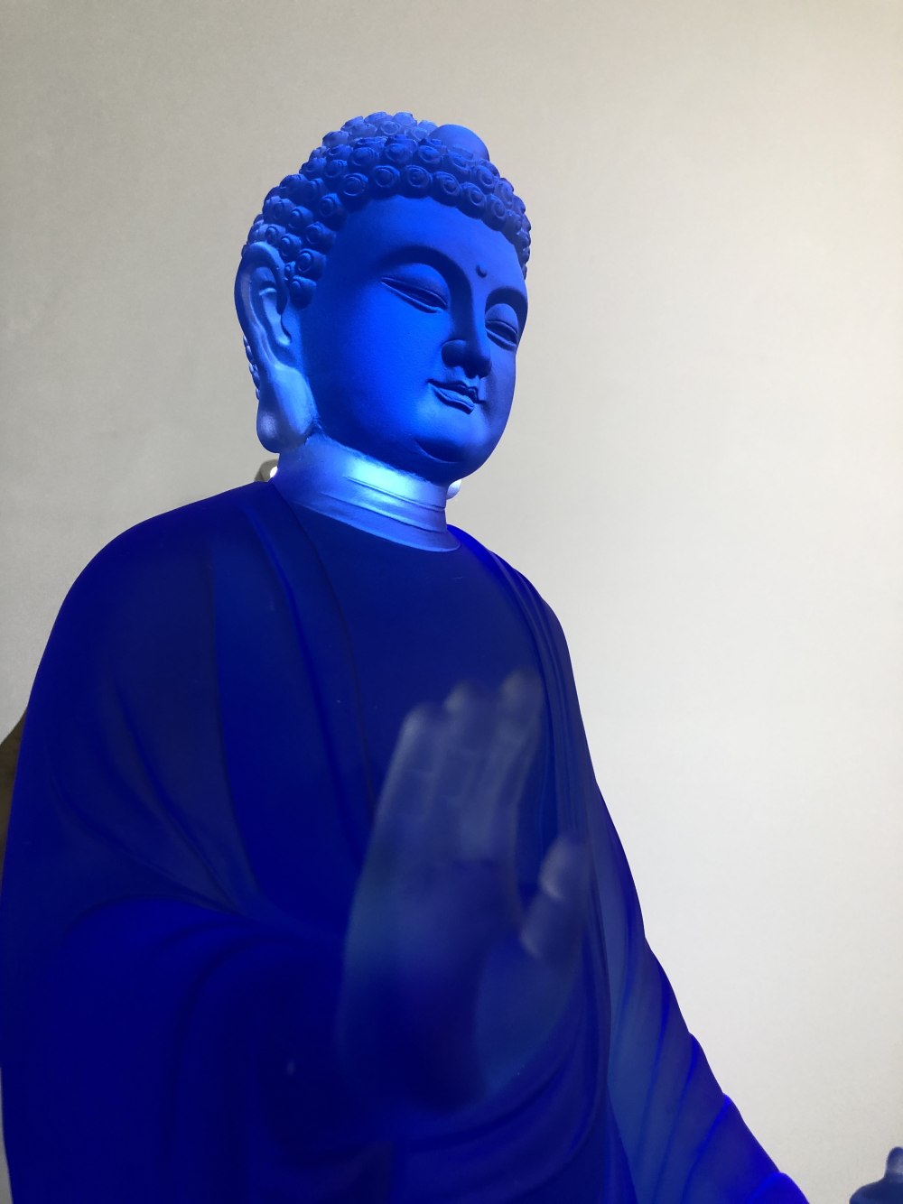 Гриша Ляхов og Buda во весь рост