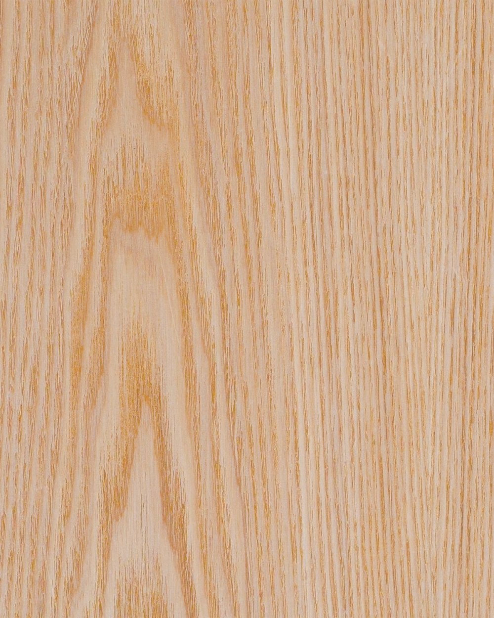 Spruce Bark texture