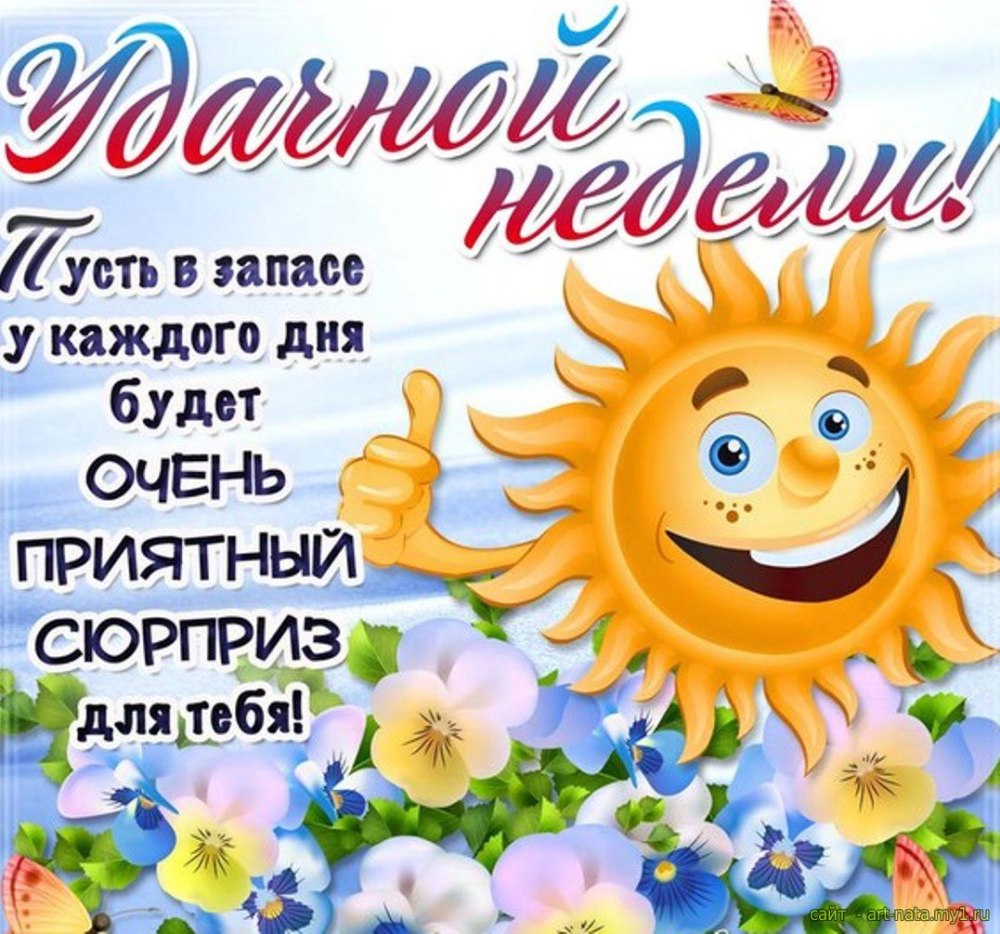 Поздравления на каждый день прикольные