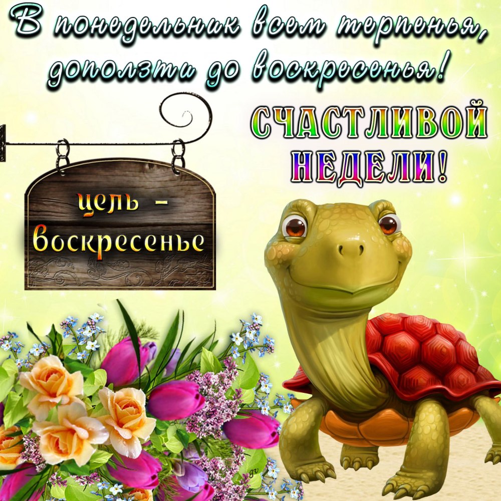С понедельником удачной недели