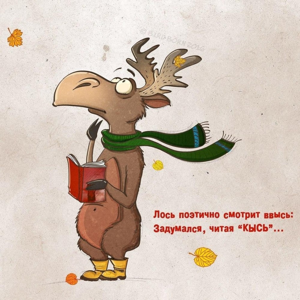 Прекрасной недели