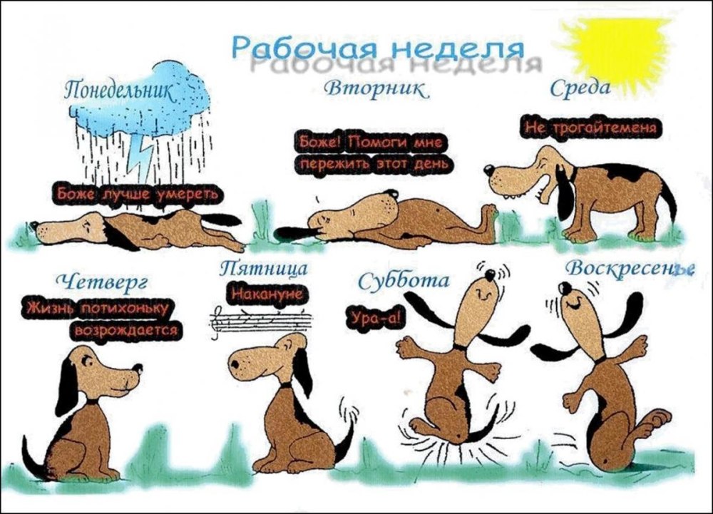 Доброго понидельн КАИ хорошей недели