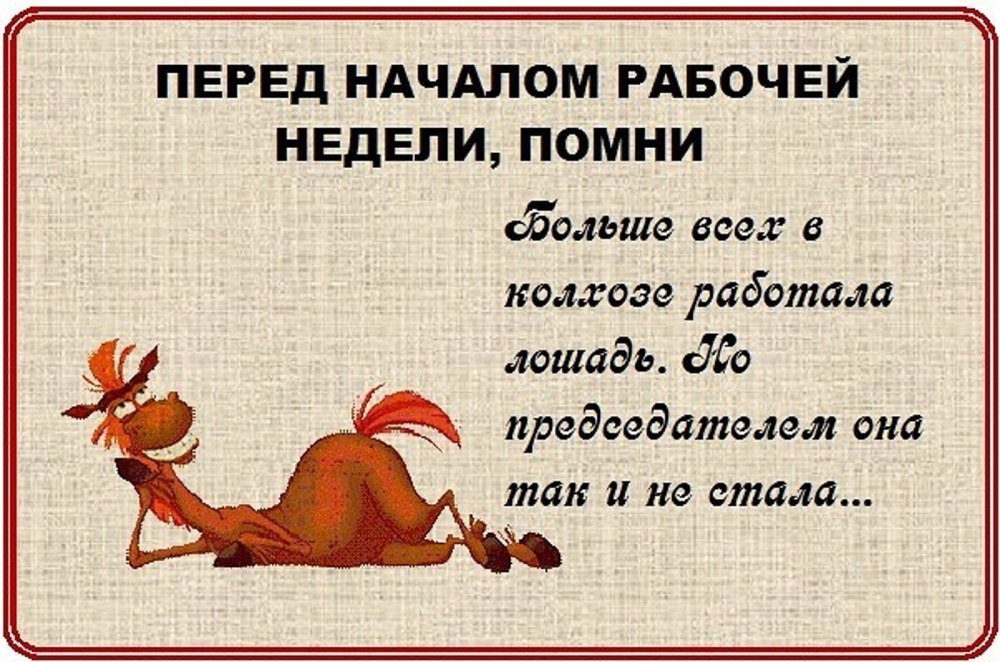 С добрым утром понедельника