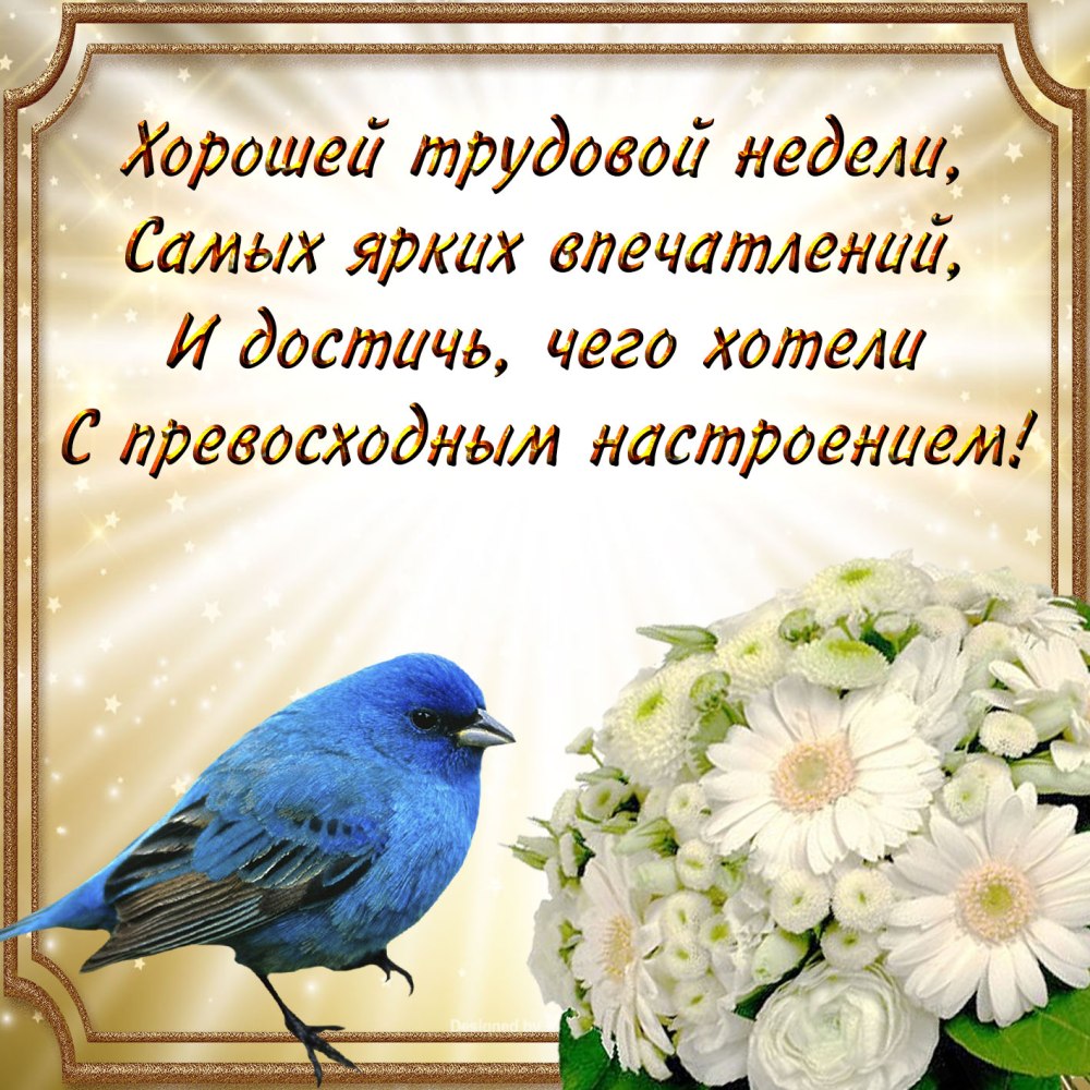 Красивые открытки с началом недели