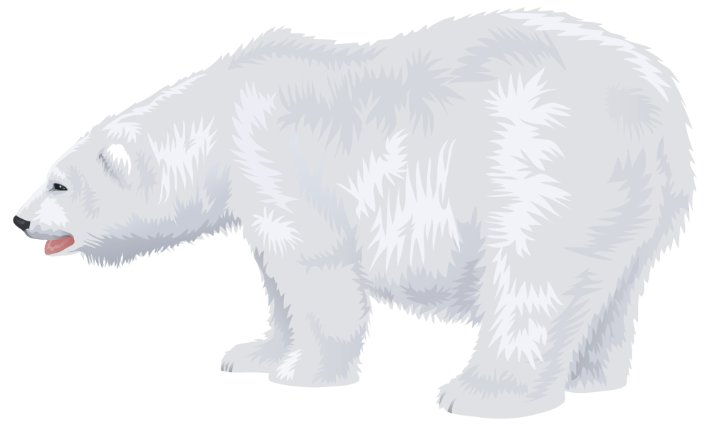 ICEBEAR we bare Bears