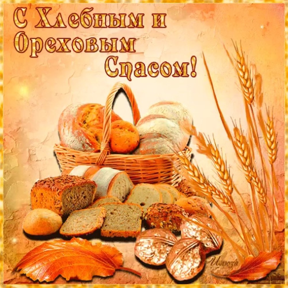 Ореховый спас на прозрачном фоне