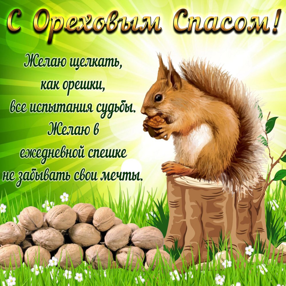 Ореховый спас фон